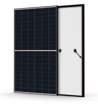 Honey M Perc Mono 370W Image 1